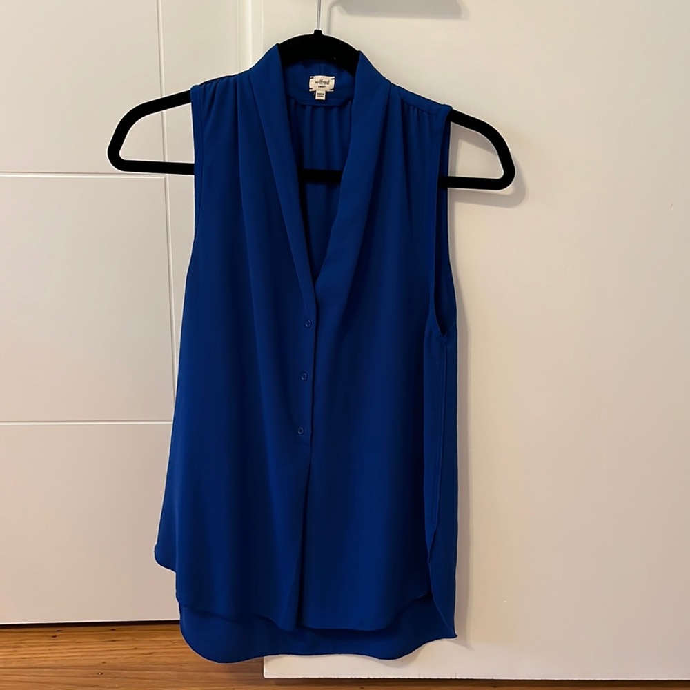 Aritzia blue sleeveless top from Wilfred